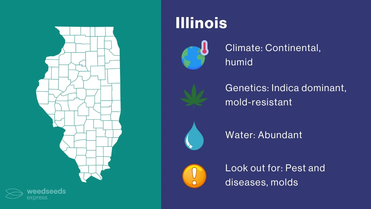Cannabis Growing Climate in Illinois